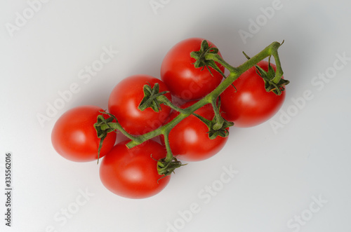 Red cocktail tomatoes on a branch. Light gray background. View from above. Soft shadows. © elivan