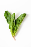 Fresh spinach leaves on a white background