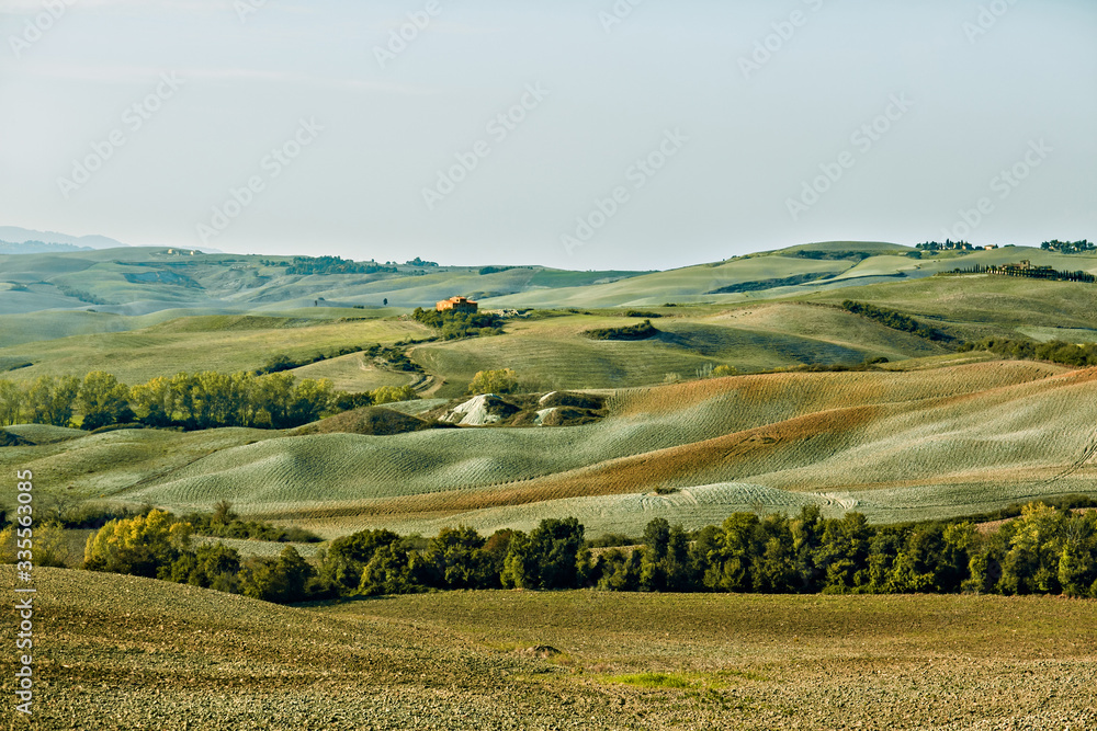 Landscape of Tuscany in the evening light