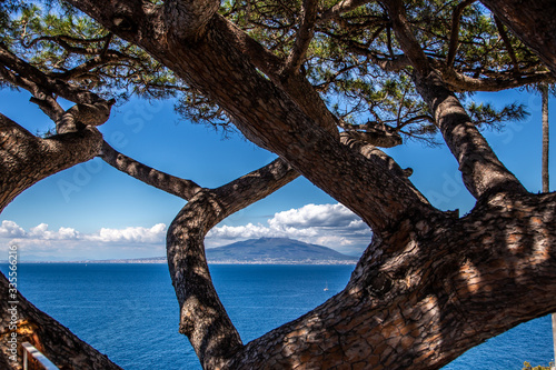 Beautiful panoramic view through a tree on the island Capri, Italy