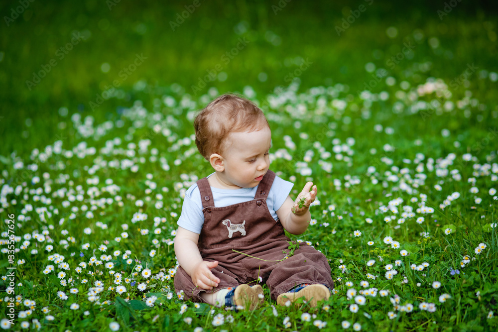 Charming boy among green grass and beautiful daisies on a summer day. A small child has fun in the fresh air. Baby explores the nature of Charming boy among green grass and beautiful daisies on a summer day. A small child has fun in the fresh air. Baby explores the nature of
