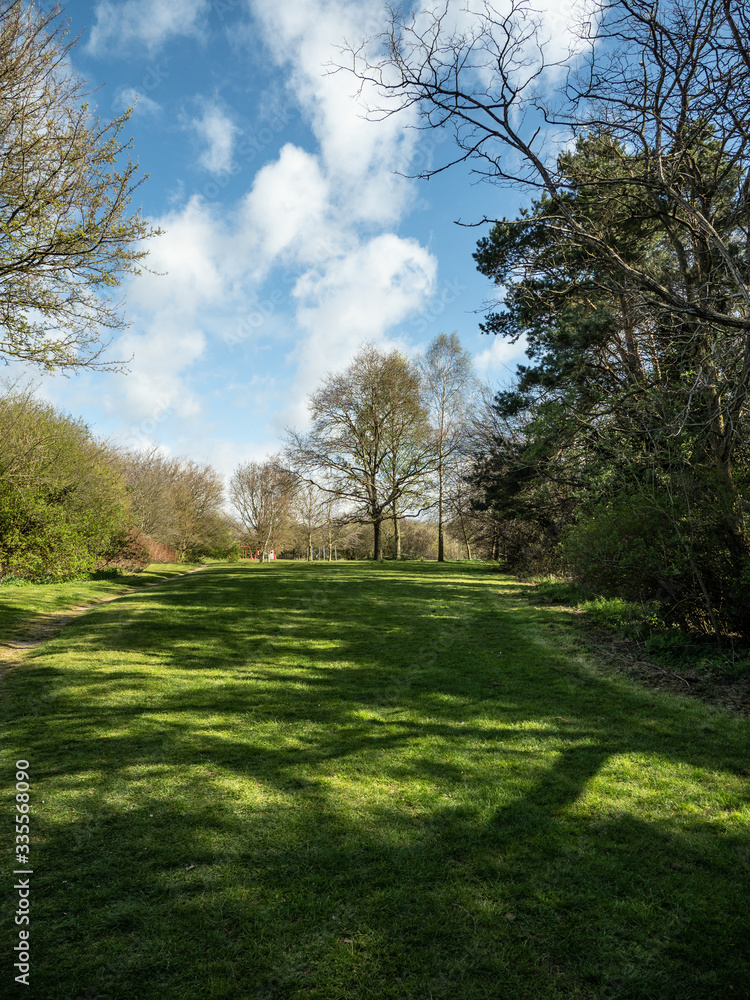 OLYMPUS DIGITAL CAMERA - SUN IN THE PARK