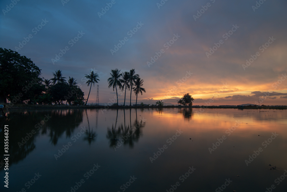 Colorful tropical sunset over coconut in reflection at Bukit Mertajam.