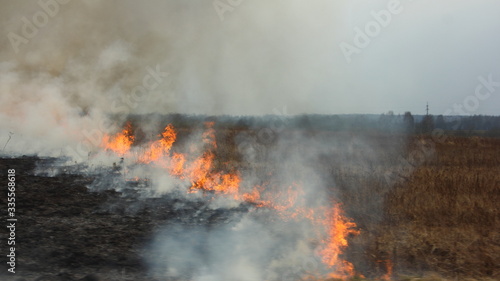 Burning grass field, fire line move from ashes to gry grass