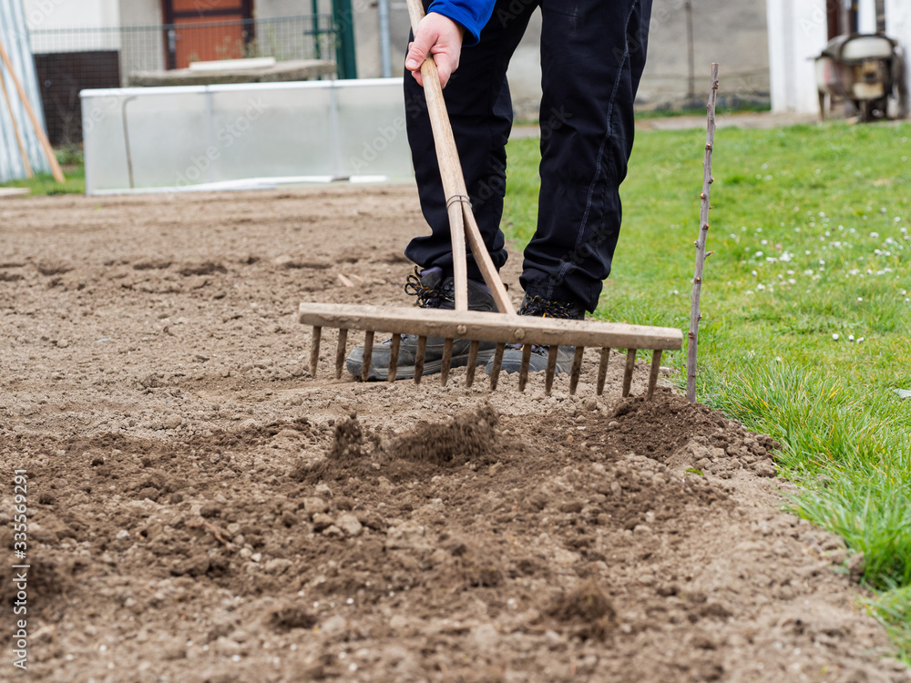 Raking soil with rake in the vegetable garden Raking soil with rake in the vegetable garden