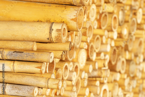 Golden bamboo trunks. Stack of bamboo cuts, bamboo slices background, texture photo