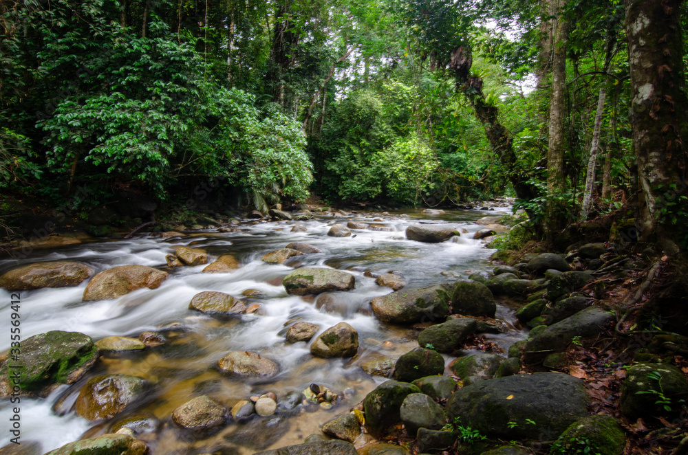 Water stream flow in forest Sungai Sedim, Kedah, Malaysia. Water stream flow in forest Sungai Sedim, Kedah, Malaysia.
