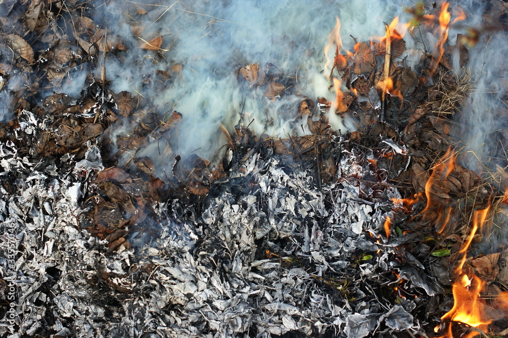 Last year's leaves and dry grass are burned at the stake Last year's leaves and dry grass are burned at the stake