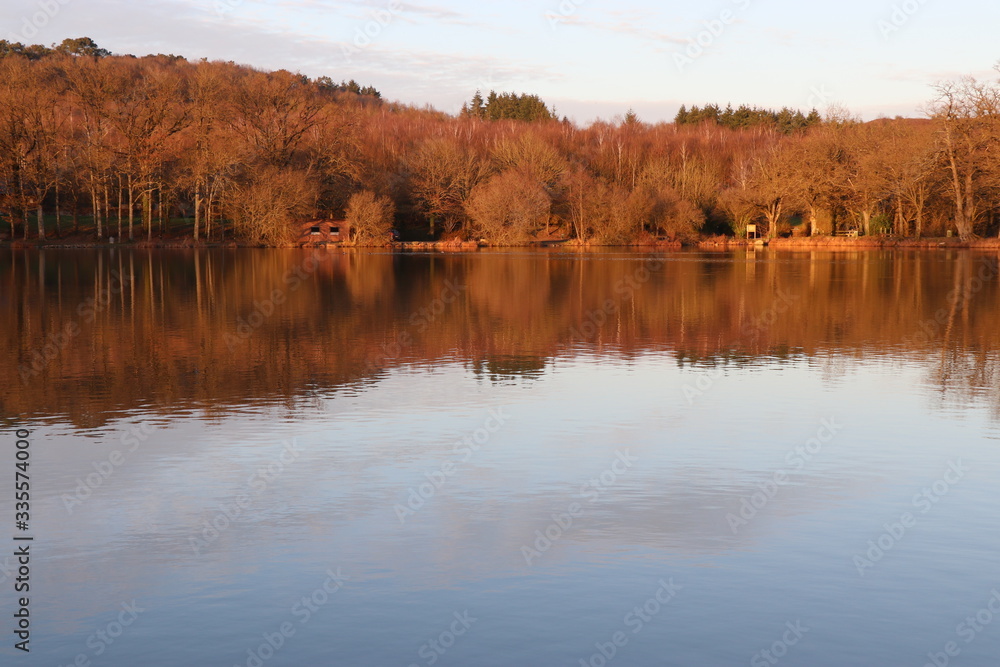 lake in autumn