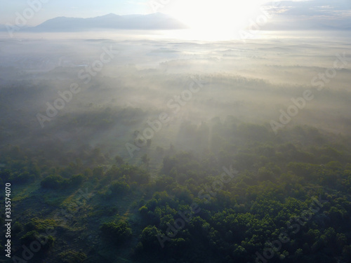 Foggy cloud over the forest at Kedah, Malaysia, Southeast Asia.