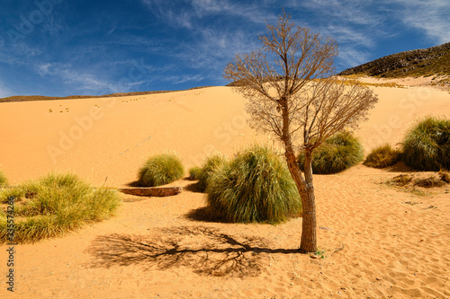 Dunes de huancar sur l'altiplnao argentin