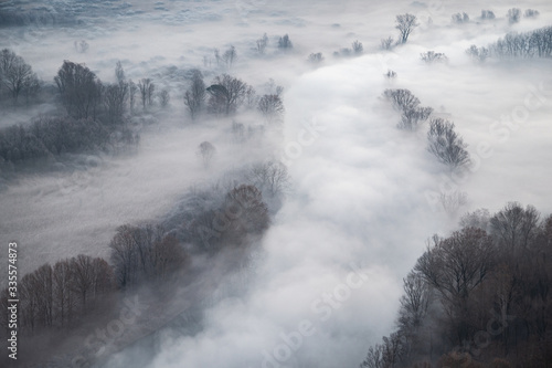 nebbia nel fiume