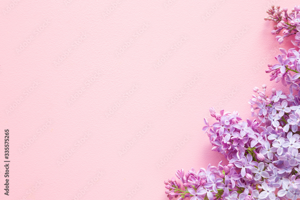 Fresh branches of purple lilac blossoms on pink table background. Pastel  color. Empty place for inspirational, happy text, lovely quote or positive  sayings. Flat lay. Top down view. Closeup. Stock Photo