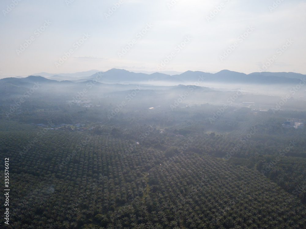 Aerial view oil palm plantation at Machang Bubuk, Kulim.