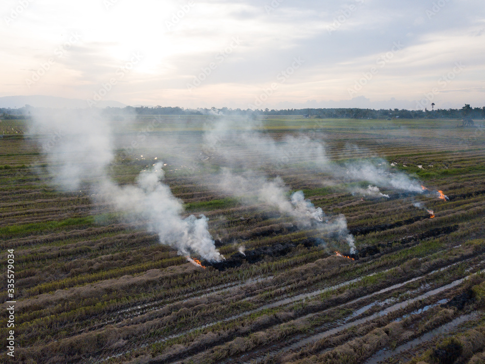 Aerial view open burning at paddy field.