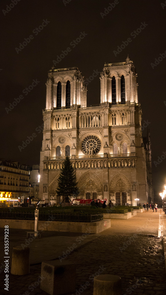 Notre Dame de Paris at night