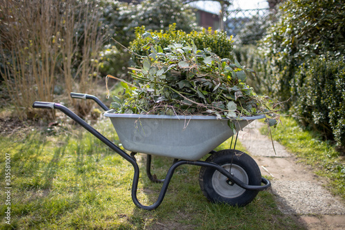 Brombeerzweige, Unkraut in Schubkarre, Gartenarbeit, Frühjahr