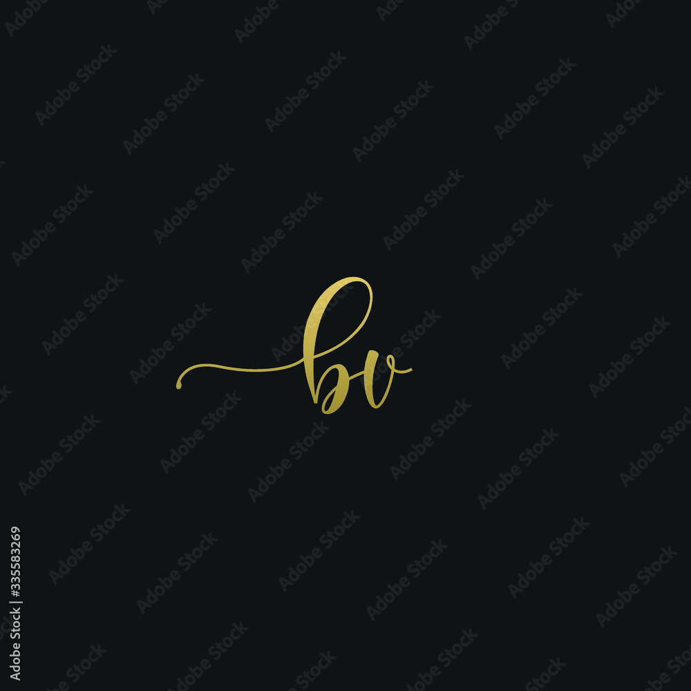 Creative modern elegant trendy unique artistic BV VB B V initial based letter icon logo Creative modern elegant trendy unique artistic BV VB B V initial based letter icon logo