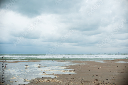 eashore in cloudy weather with sky covered by clouds