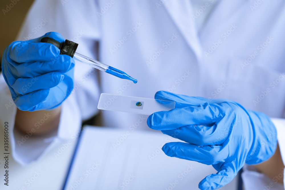 Scientist wear lab coat and protective wear are working with research or doing investigations with test tubes in experiment, Laboratory and development concept Scientist wear lab coat and protective wear are working with research or doing investigations with test tubes in experiment, Laboratory and development concept