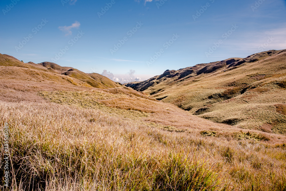 Scenic view of Mount Pulag National Park, Benguet, Philippines