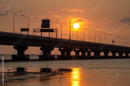 Penang Bridge during sunset hour. Crane birds looking for food at coastal of sea.