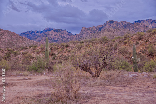Catalina State Park is situated just outside Tucson proper and is a favorite of hikers, photographers and nature lovers