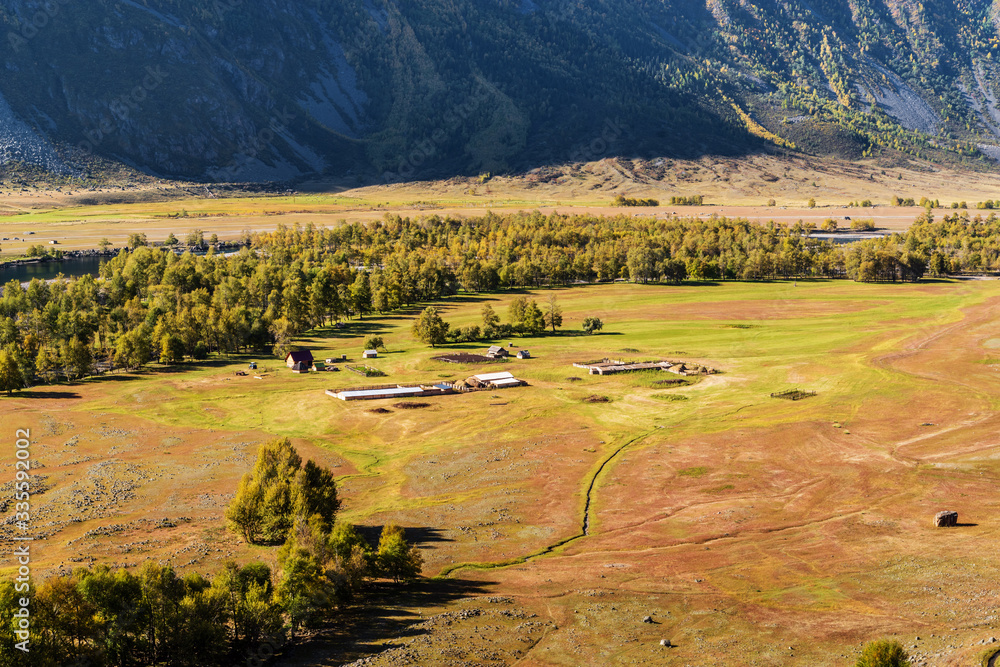 Fototapeta premium A livestock farm in a river valley. Russia, the Republic of Altai, Ulagansky District, Chulyshman Valley, tract Akkurum