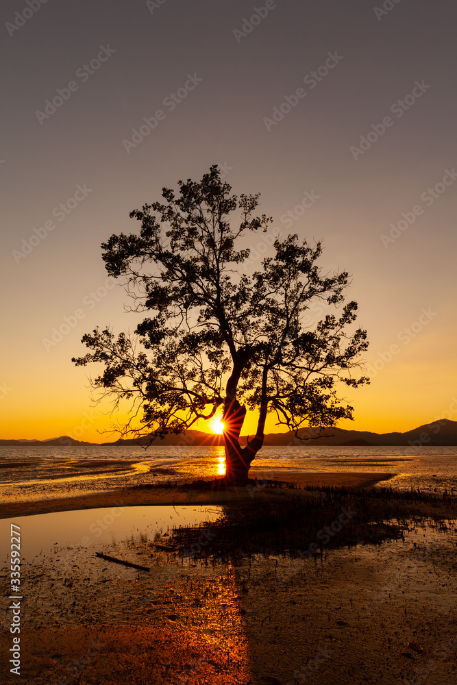 sunset on the beach and colorful sky with tree and sunstar