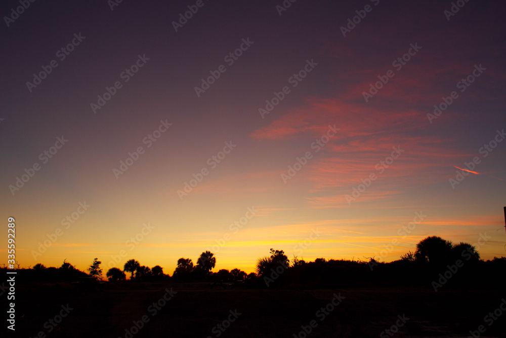 sunset over the Florida scrub sunset over the Florida scrub