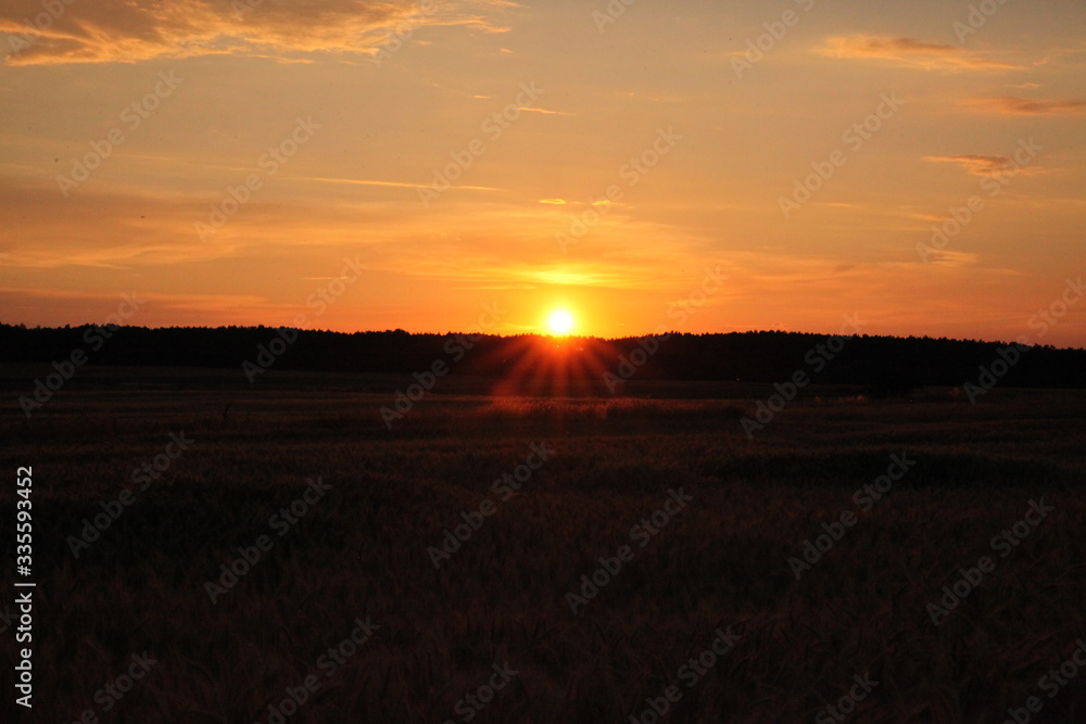 Zachód słońca na polu