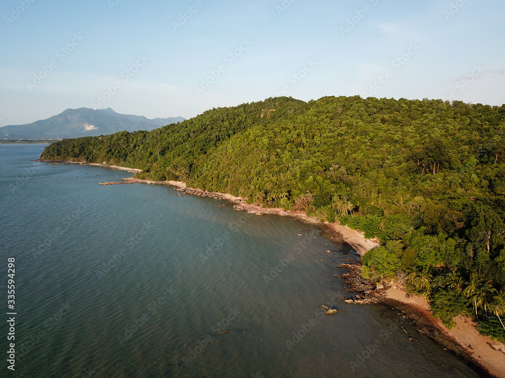 Green scenery of forest at Pulau Sayak.