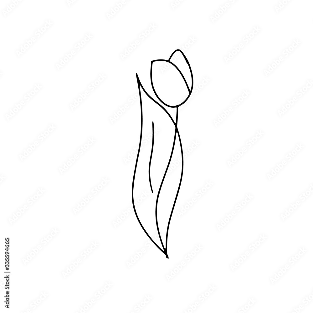 Single tulip flowers isolated on white background. Vector illustration in doodle style. Design for decorating floristic shop, greeting post card, wedding, conept of gift for holaday, 8 march, mother's Single tulip flowers isolated on white background. Vector illustration in doodle style. Design for decorating floristic shop, greeting post card, wedding, conept of gift for holaday, 8 march, mother's