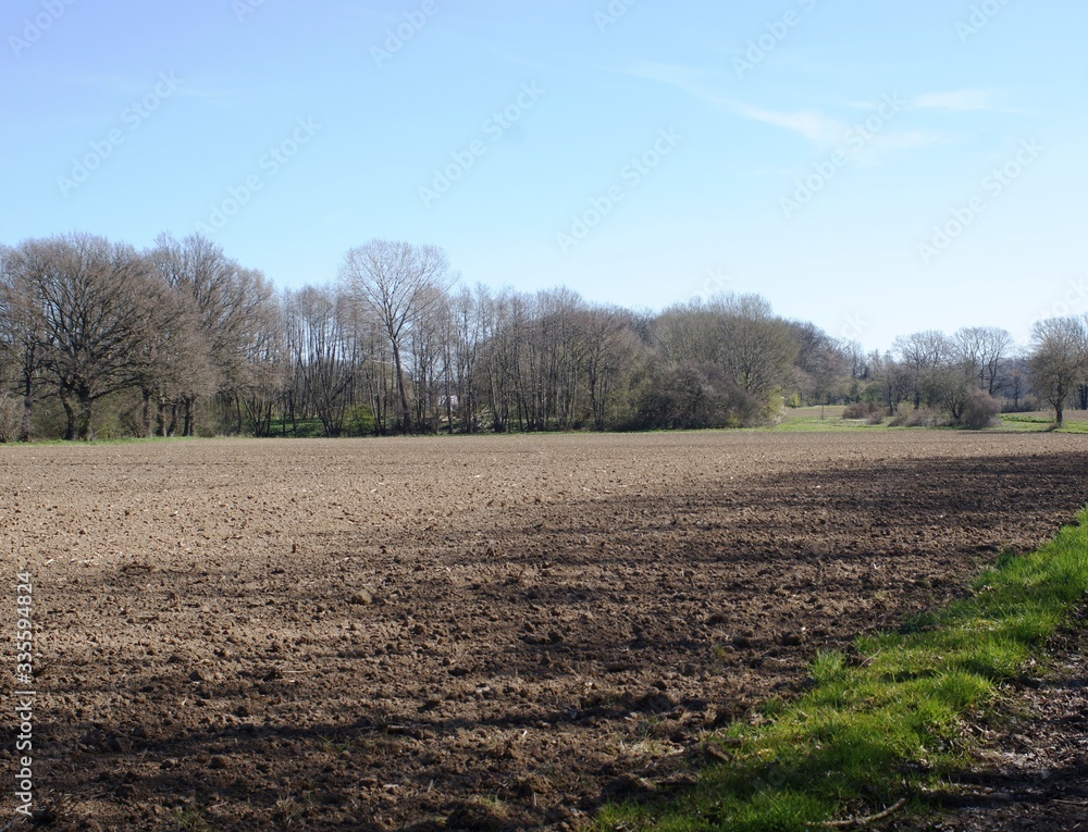 Eine Feld in Westfalen Eine Feld in Westfalen