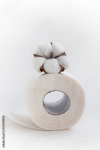 white toilet roll and plant cotton on a white background