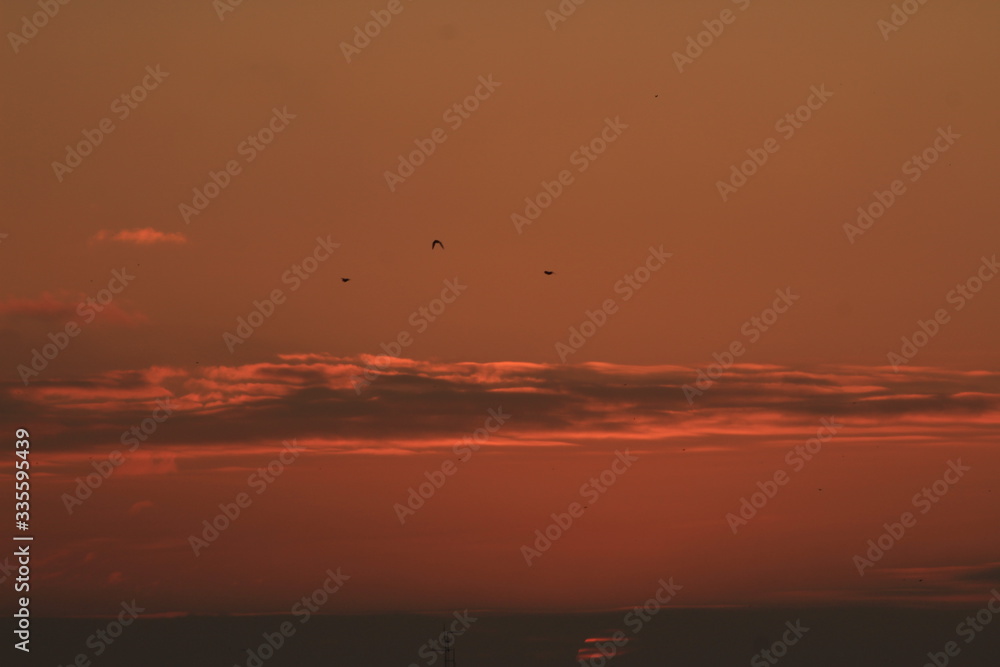 cielo rojo convertido por el sol naciendo en la mañana de la ciudad de Rosario,Argentina