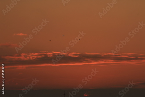 cielo rojo convertido por el sol naciendo en la mañana de la ciudad de Rosario,Argentina © luciano