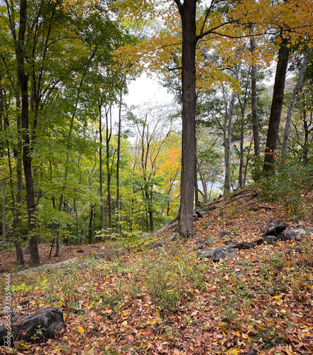 Bear Mountain State Park in New York is an icon and has been around for decades. Exploring this fascinating outdoor playground makes for a great day, and in Autumn, the state park's many trees color
