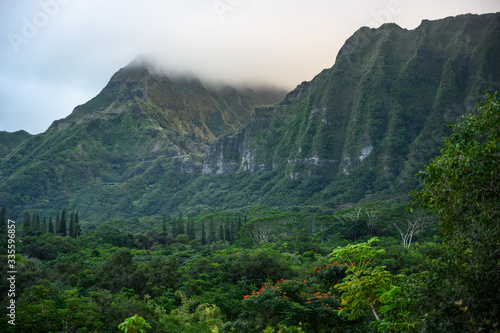 Hoomaluhia Botanical Garden - Oahu, Hawaii photo