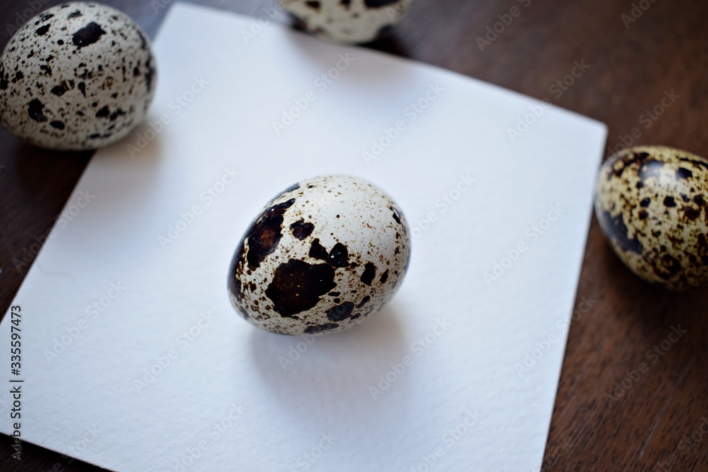 Obraz premium Quail eggs