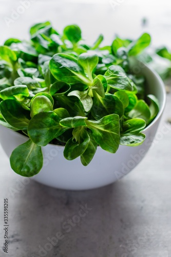 Fotografija Fresh Juicy Green Corn Salad (lamb's lettuce, Valerianella locusta) on a plate on a blue background