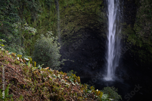 Akaka Falls State Park - Big Island  Hawaii