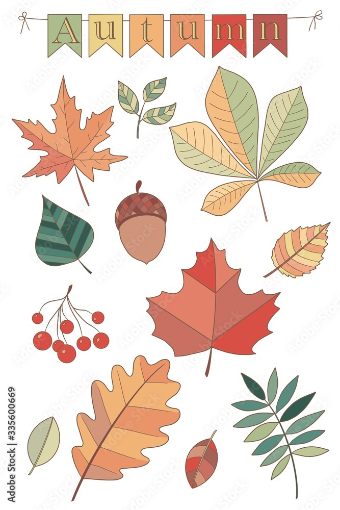 Obraz premium Set of autumn. Autumn leaves and objects 