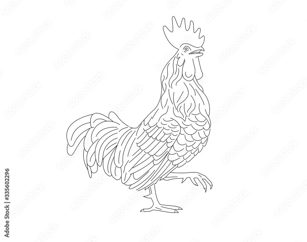 Line sketch drawing illustration of rooster. Cock bird mascot concept icon, farming symbol. Line sketch drawing illustration of rooster. Cock bird mascot concept icon, farming symbol.