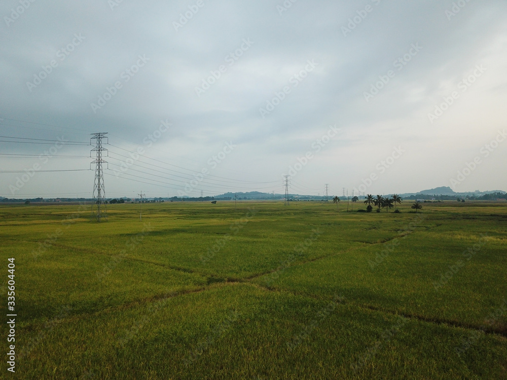 Aerial view agricultural paddy field with electric tower. Aerial view agricultural paddy field with electric tower.