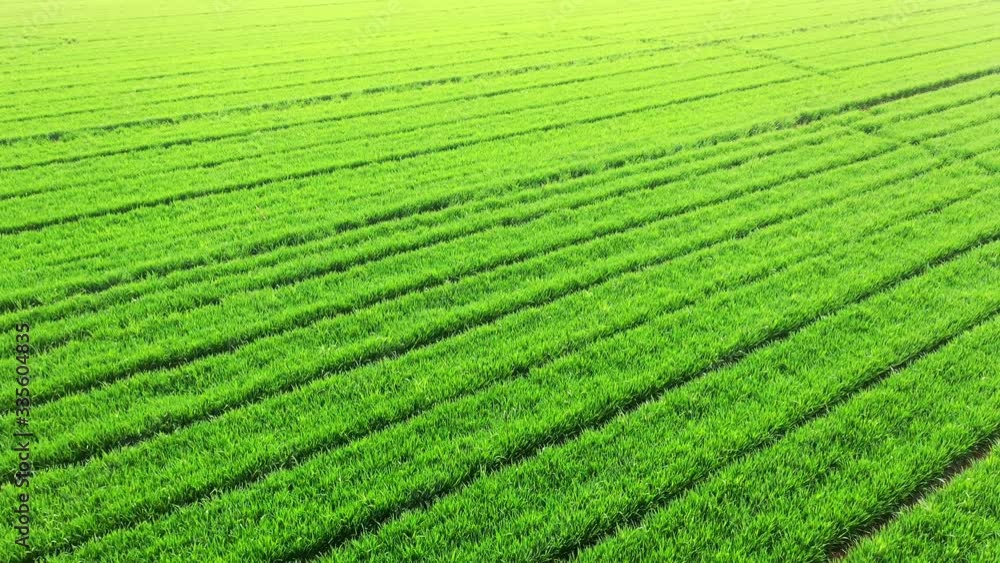 Aerial farmland Aerial farmland