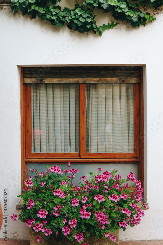 window with flowers in the background