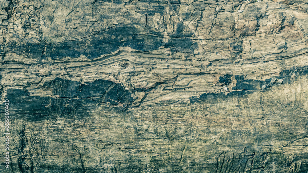 Shabby tinted wood background texture. Close-up.