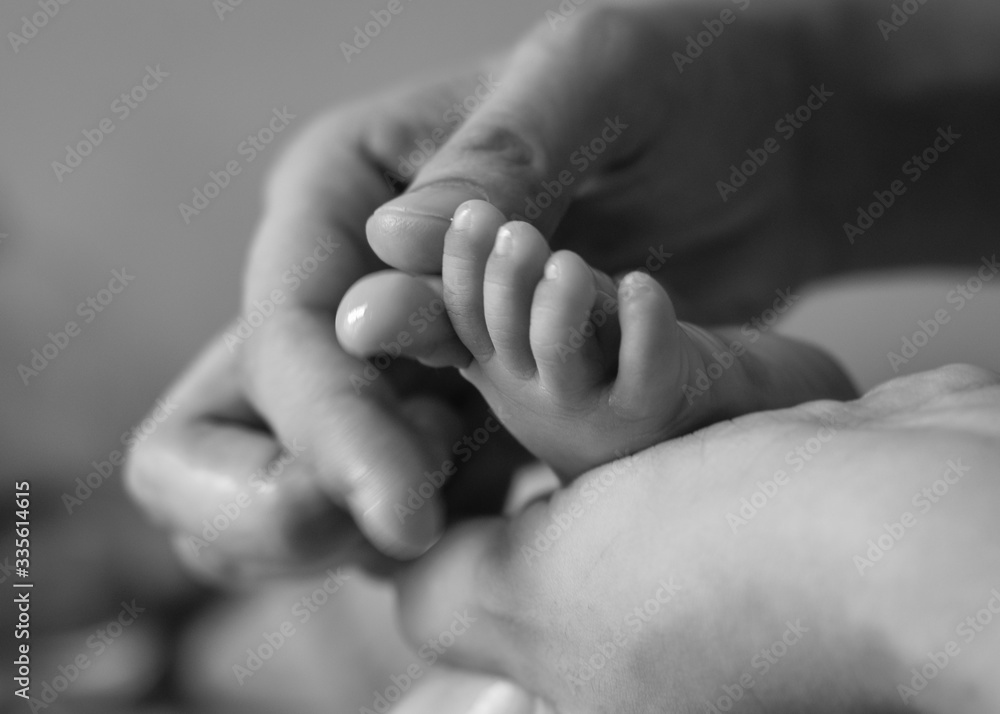 newborn baby feet newborn baby feet
