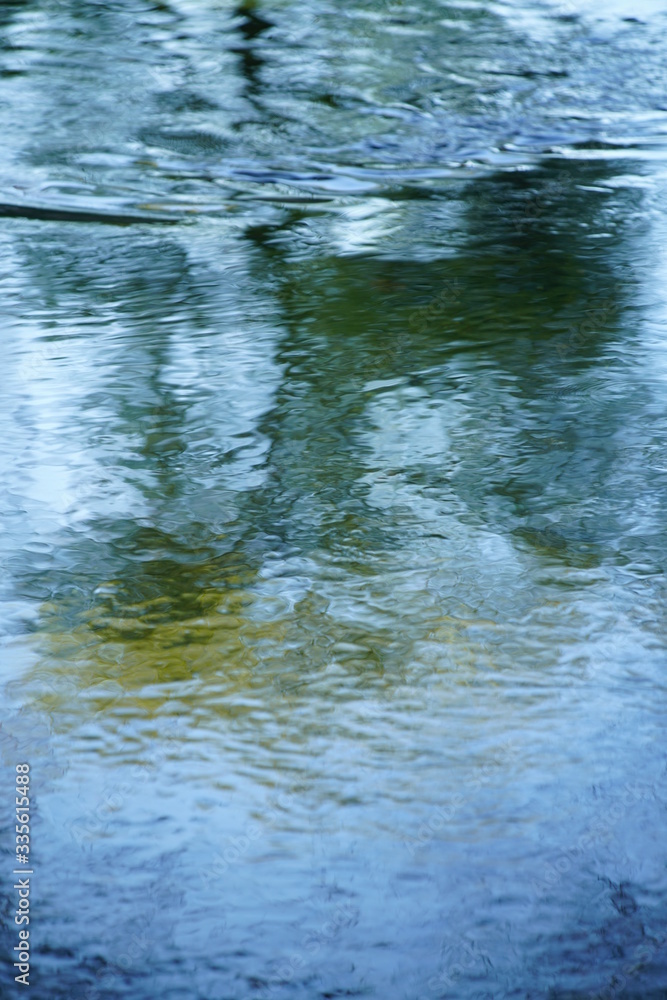 Fototapeta premium Wasser mit Spiegelungen von Bäumen